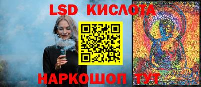 прущие грибы Партизанск