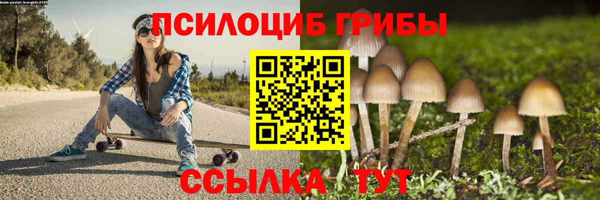 Псилоцибиновые грибы GOLDEN TEACHER Павлово