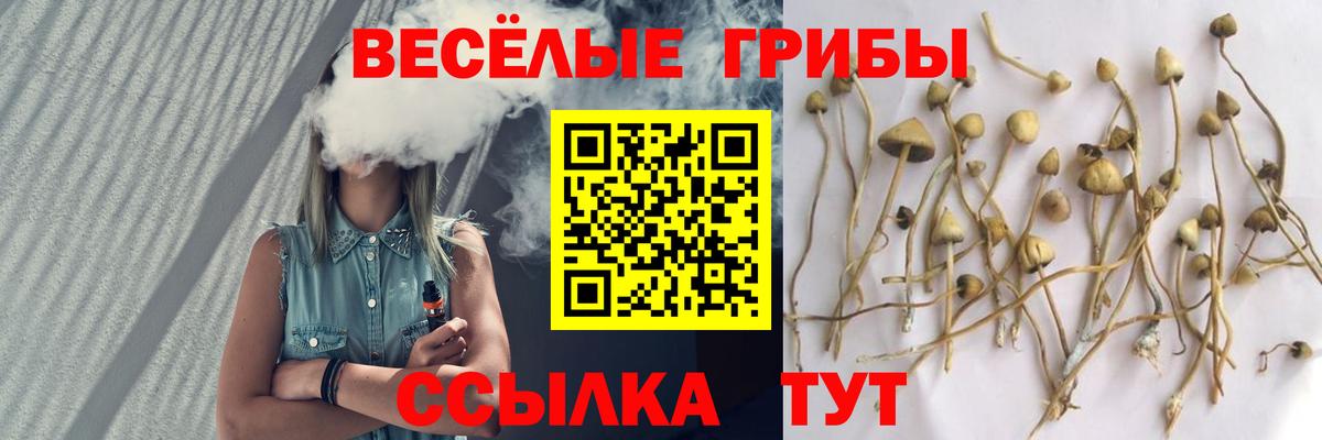Псилоцибиновые грибы мухоморы  Вход с VPN  Павлово 