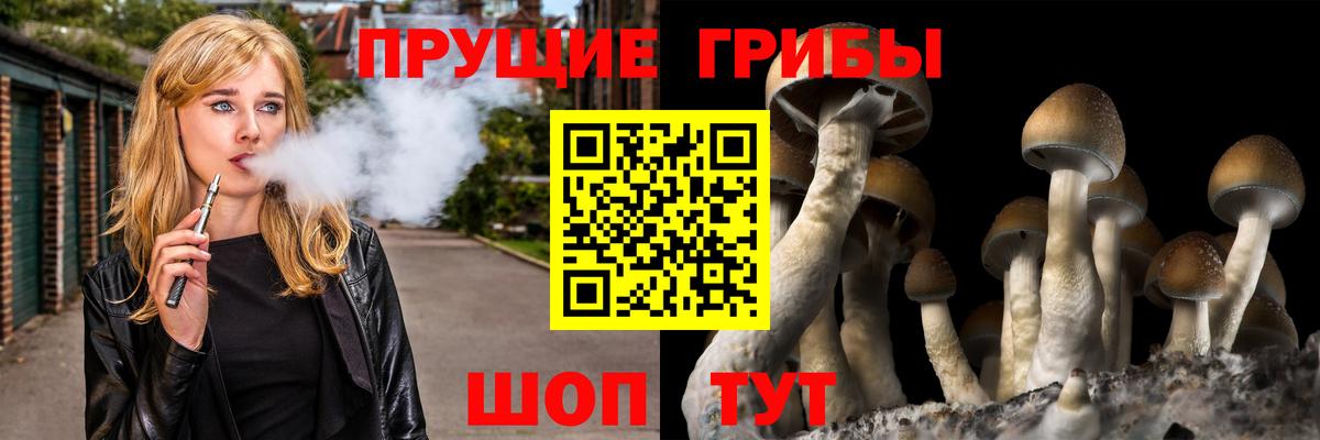 Павлово  Галлюциногенные грибы GOLDEN TEACHER  Вход с VPN  Галлюциногенные грибы ЛСД 