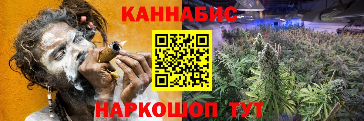 Конопля Bruce Banner Павлово